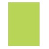 Broccoli Card Sleeve Shuffle Master Lime Green [BSM-05]