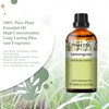 PHATOIL Aroma Oil Lemongrass Essential Oil 30ml Essential Oil Lemongrass