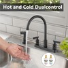 GBBNE Kitchen Faucet with Sprayer 2 Handle Kitchen Sink Faucets