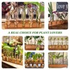 Renmxj Renmxj Plant Propagation Station, Plant Terrarium with Wooden Stand