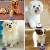 SLSON Pack of 2 Pet Training Bells for Dog Cats,
