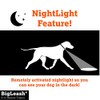 The BigLeash S-15 Remote Dog Training Collar with FireFly Nightlight