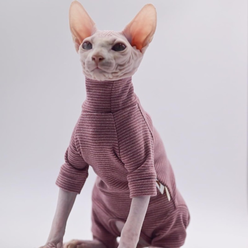 Ropa de gato sin pelo, cálida y suave, otoño e