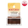 Burt's Bees 버츠비 컨디셔닝 립 스크럽 7g 모카 Burt's Bees