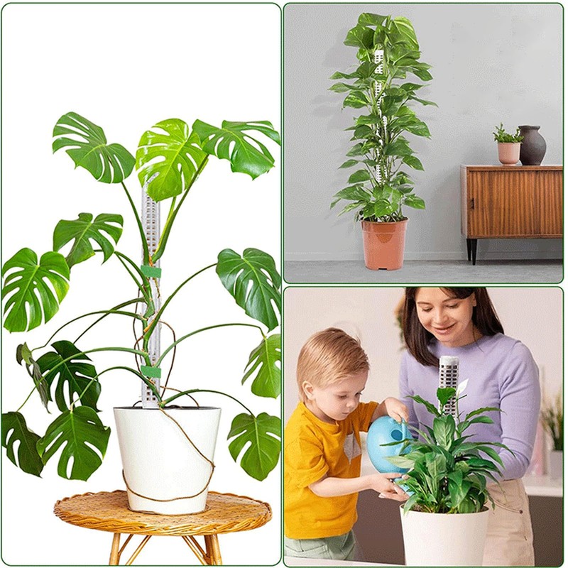 6PCS Plastic Moss Poles for Monstera Small Medium Climbing Plants