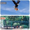 Bird Netting for Chicken Coop - 50x50ft Chicken Netting for