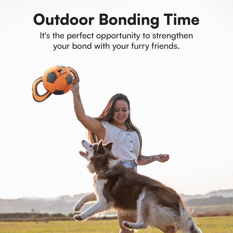 ALL FOR PAWS Ballistic Handle Ball Dog Toy with Squeaker,