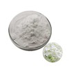 Hydrangea Leaf Hot Water Extract Powder 100g Sample
