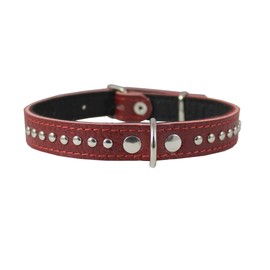 Genuine Leather Studded Padded Dog Collar 15" x5/8" Wide Fits 10"-13" Neck, Pomeranian, Chihuahua, Puppies