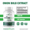 Onion Bulb Extract 1000mg Pure All Natural Onion (Allium Cepa)