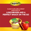 Mott's Cinnamon Applesauce, 4 Oz Cups, 18 Count, No Artificial