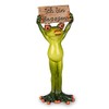formano Set of 2 Funny Frogs Frog as Demonstrator with
