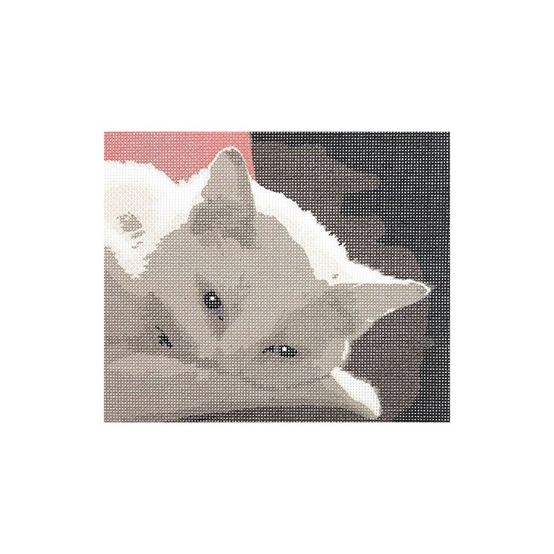 Pepita Needlepoint Canvas: White Cat, 12" x 8"