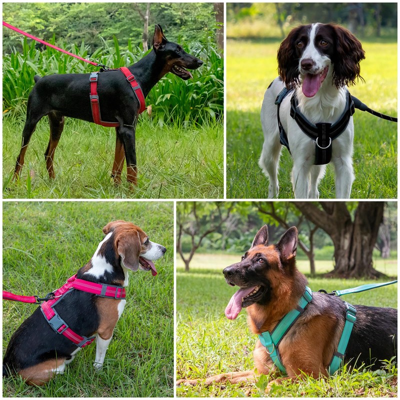 Plutus Pet No Pull Dog Harness, Adjustable Nylon Harness with