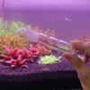 2 Pack 3 Holes Planaria Trap for Aquarium Bristle Worm