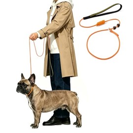 Correa deslizante para perros pequeños y medianos, ligera, fina pero resistente, ajustable, suave y delgada, 180 cm de largo, 0,5 cm de ancho (naranja, 1,8 m de largo)