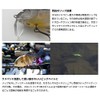Imakatsu Gilloid Baby #548 3D Female Gill