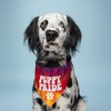 Puppy Pride Dog Bandana (740 Sunset Tie Dye, One Size)