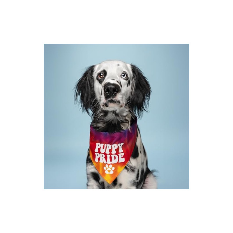 Puppy Pride Dog Bandana (740 Sunset Tie Dye, One Size)