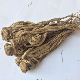 Angelica Root Dang Gui Dried (100g(0.22pounds))