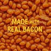 BUSH'S BEST 16 oz Canned Onion Baked Beans, Source of