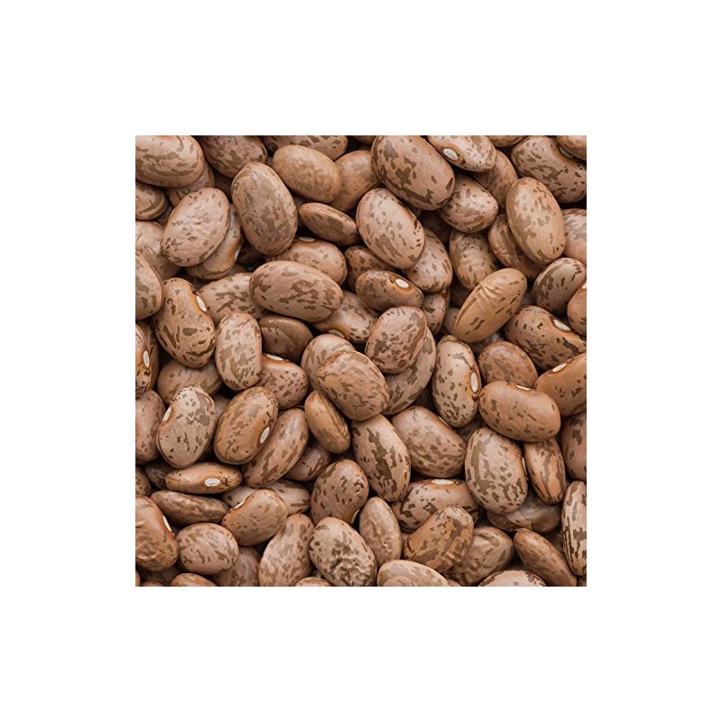 Pinto Bean Seeds – 1 Lb – Shell Pinto or