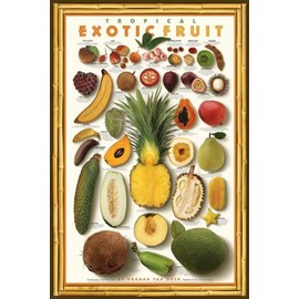 Picture Peddler Laminated Tropical Exotic Fruit Mango Food Kitchen Papaya Gourmet Poster Printint 24x36