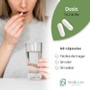 Prebiotico Probiotico Saccharomyces Cerevisae BIOLEVURE