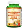 NutreeVit Organic Turmeric Ashwagandha Ginger Vitamin D3-60 Capsules - Extra