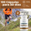 Cordyceps 500mg 100 cápsulas - Ingredientes Naturales - Suplemento Alimenticio