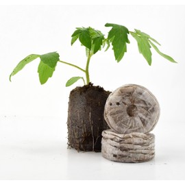 Gardentrends Jiffy Super Pellets - Expands to 2" Diameter (50 mm) x 3-1/4" Tall - 50ct