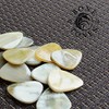 Bone Tones - White Horn - Guitar Pick