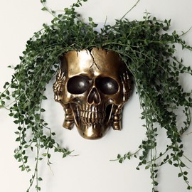 Dolkgy Skull Wall Planter for Home Décor, Resin Skeleton Gothic Planter for Indoor Outdoor Plants Decorations, White Hanging Skull Vase Unique Spooky Face Flower Pot Head Planters
