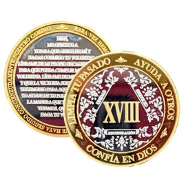 Spanish Silver & Gold Alcoholics Anonymous Gifts Sobriety Coin 1 to 50 Year AA Medallion with AA Coin Holder 40mm AA Chips and Medallions with 3rd Step Prayer Recovery Gifts for