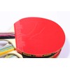 Egurs Table Tennis Set, Ping Pong Set, 2 Table Tennis