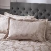Catherine Lansfield Damask Jacquard Quilted Pillow sham Pair Champagne Gold