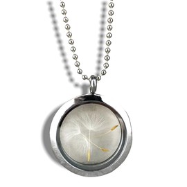 Real Dandelion Locket Necklace 70 cm with Jewellery Box Natural Flowers
