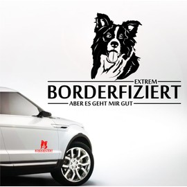 siviwonder Car Sticker Border Collie Dog Infected Dog Sticker 30 cm Metallic Silver