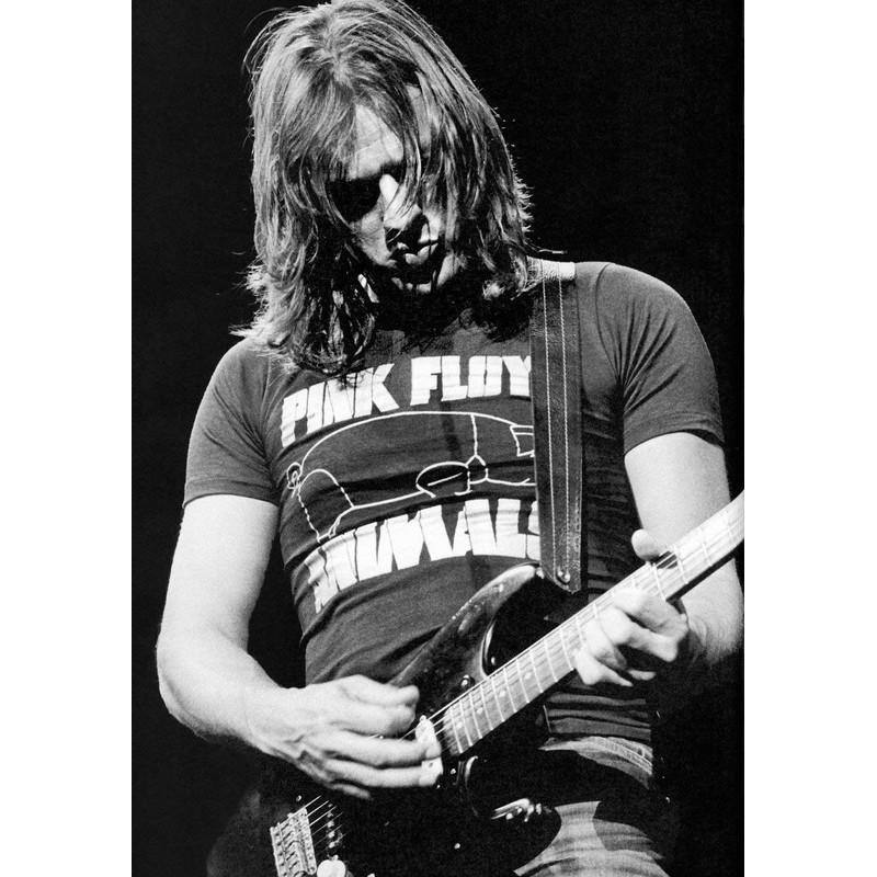 RGM180 Dave Gilmour Dark Side 10 inch Miniature Guitar Including