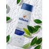 Shampoo Maria Salom_ 400ml - Antica__da y estimula el Crecimiento.