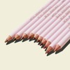 Bundle of all 10 Jordana Ticia Lip Liners - Wooden