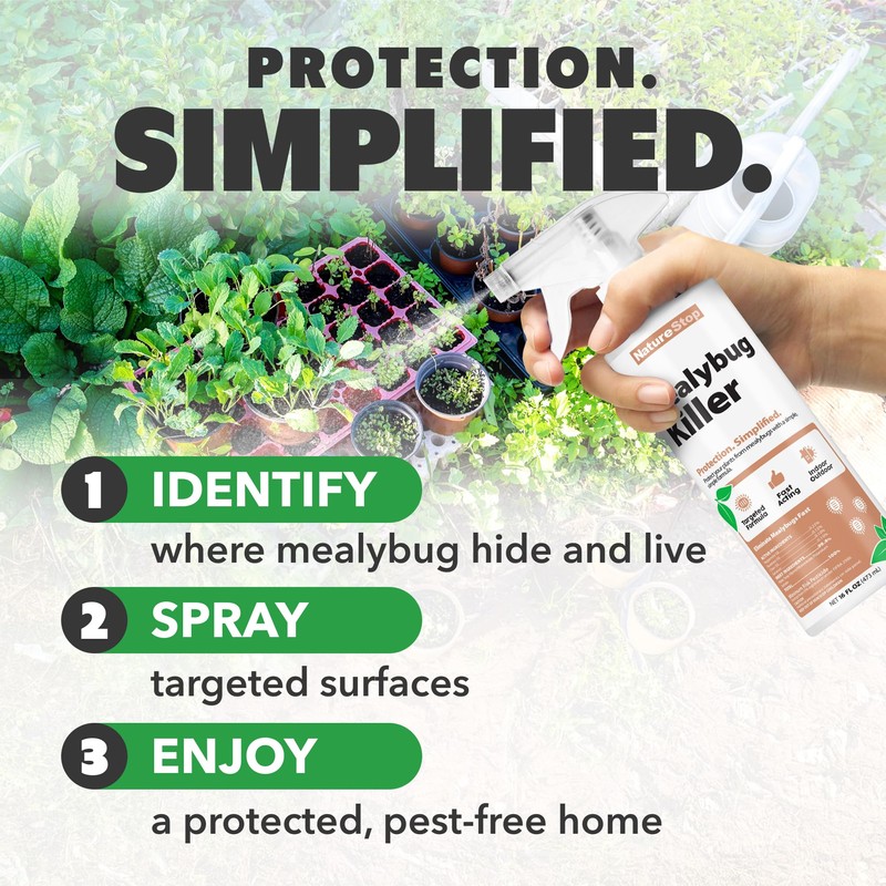 NatureStop Mealy Bug Killer - Fast-Acting Mealy Bug Killer for