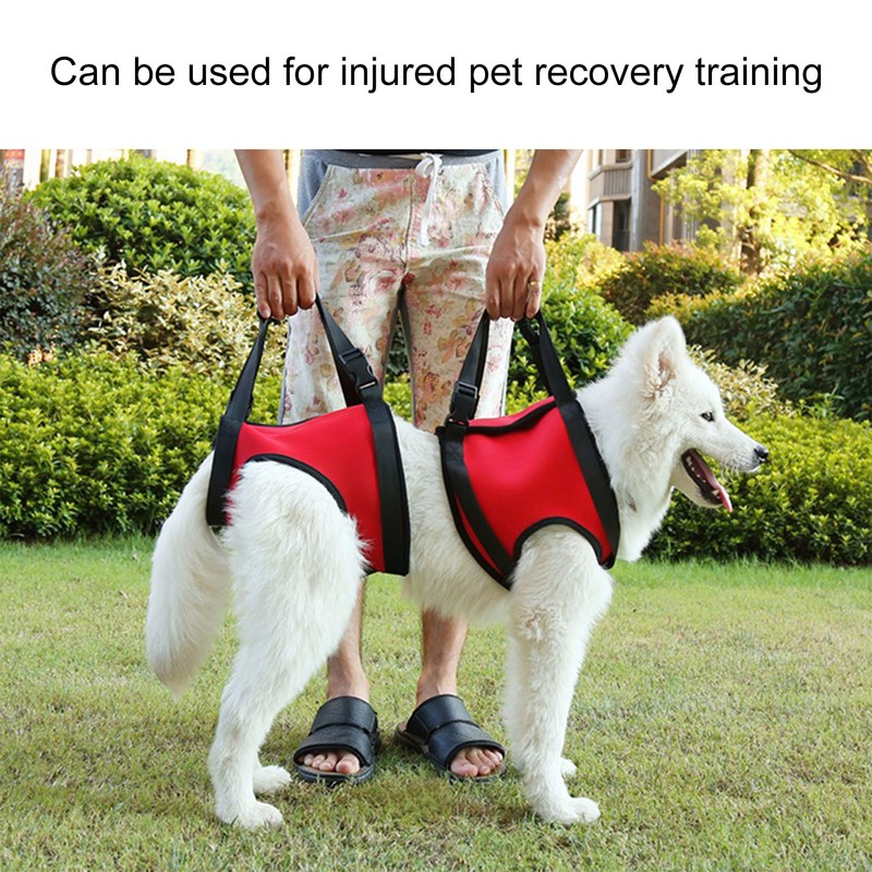 Dog Front Leg Harness Adjustable Waterproof Comfortable Elastic Dog Support