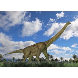 Edition Colibri Brachiosour Dinosaur Lenticular Postcard with Wobble Effect / 6 Alternating Pictures in a Postcard (10221)