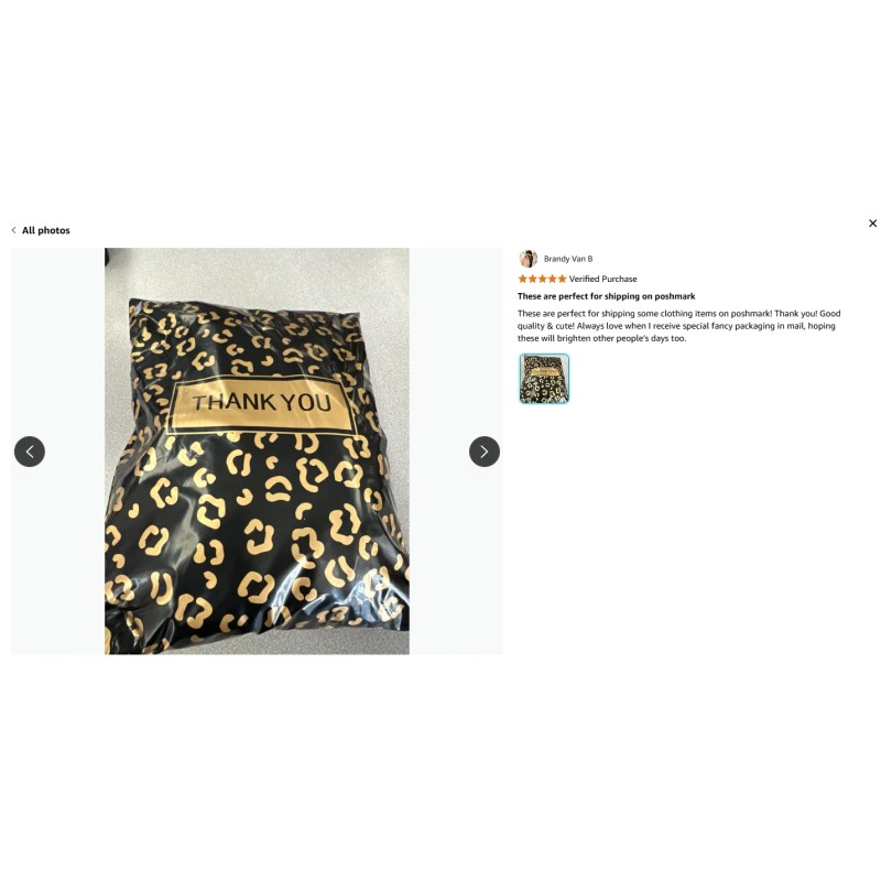 100-Piece Biodegradable Waterproof Polyethylene Mailing Bag 2 Mil for Apparel