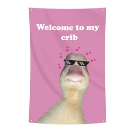 Welcome to My Crib Flag Hip Hop Sunglasses Dizzy Duck Funny Banner For Room Durable Man Cave Wall With Brass Grommets For College Dorm Room Decor (D4)