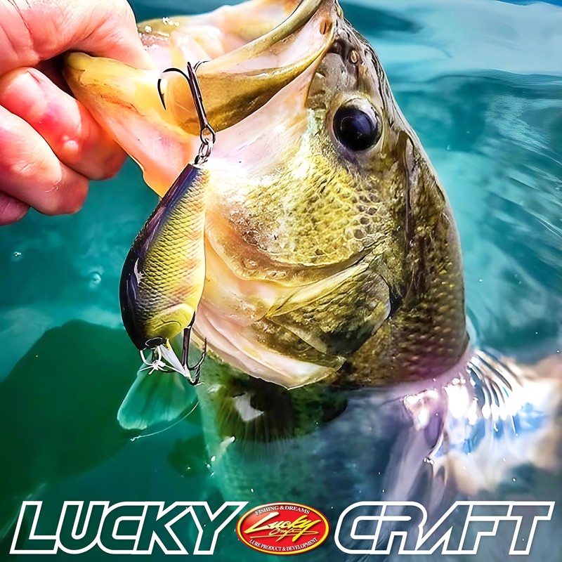 LUCKY CRAFT LC 1.5 Silent (318 Jagged Shad)