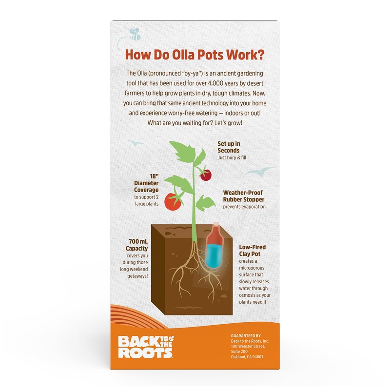 Back to the Roots Self-Watering Terracotta Olla Pot (Pack of