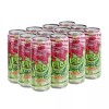 AriZona Cherry Lime Rickey 22oz (12 PACK)