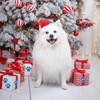 500pcs Dog Paw Print Stickers, 1 Inch Self-Adhesive Paw Print